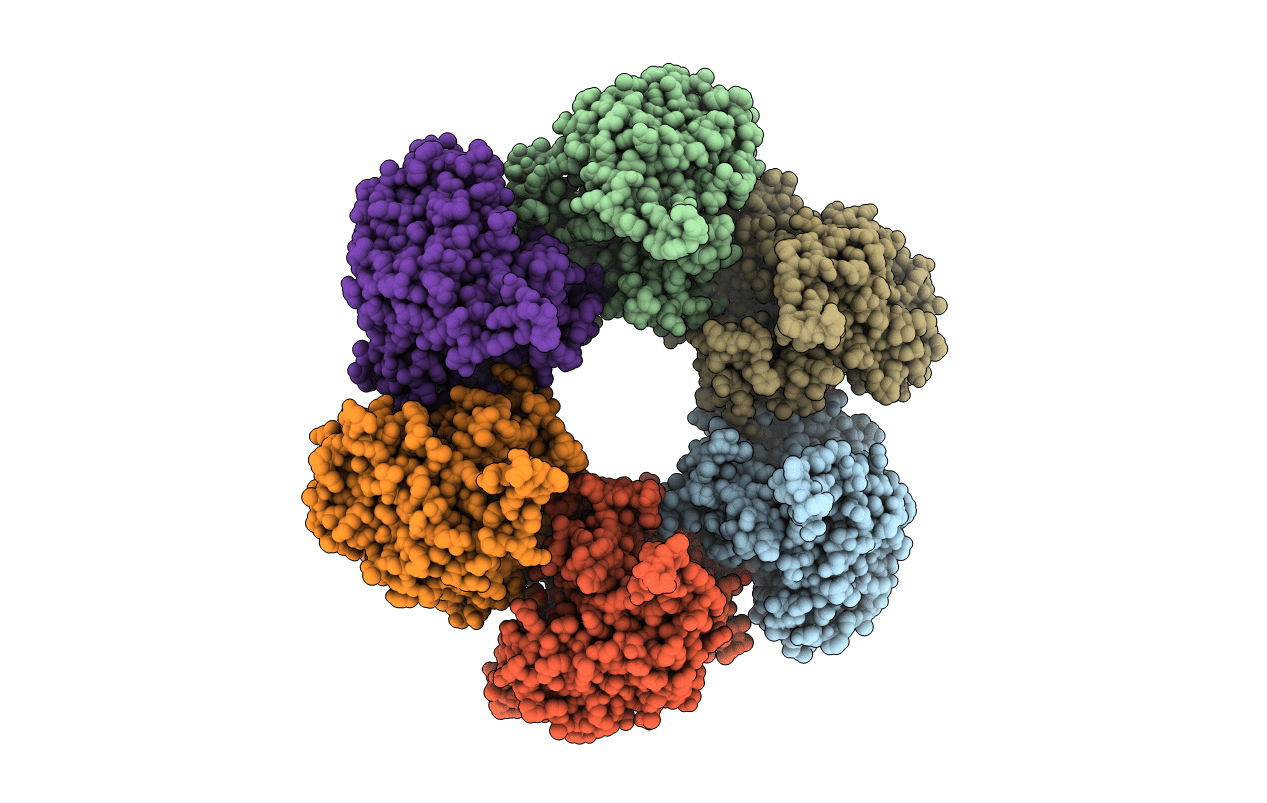 5DM3 image
