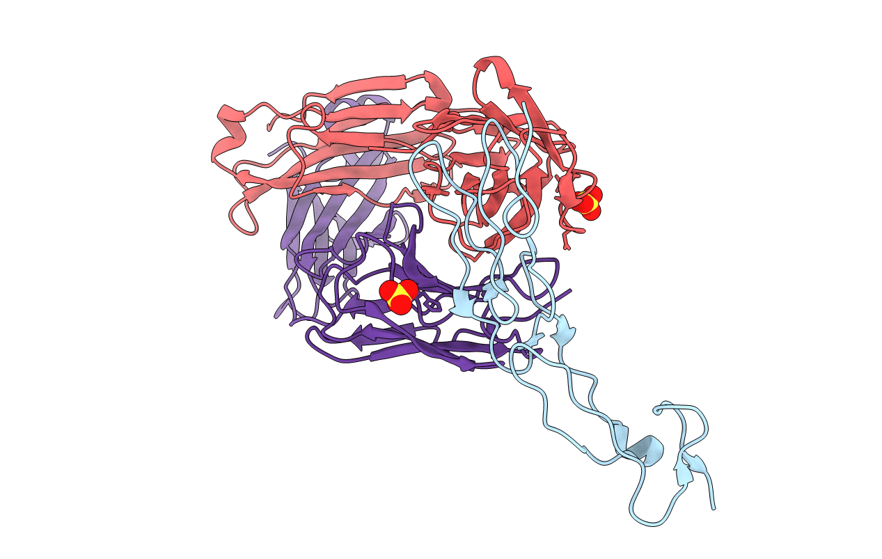 5DMI image