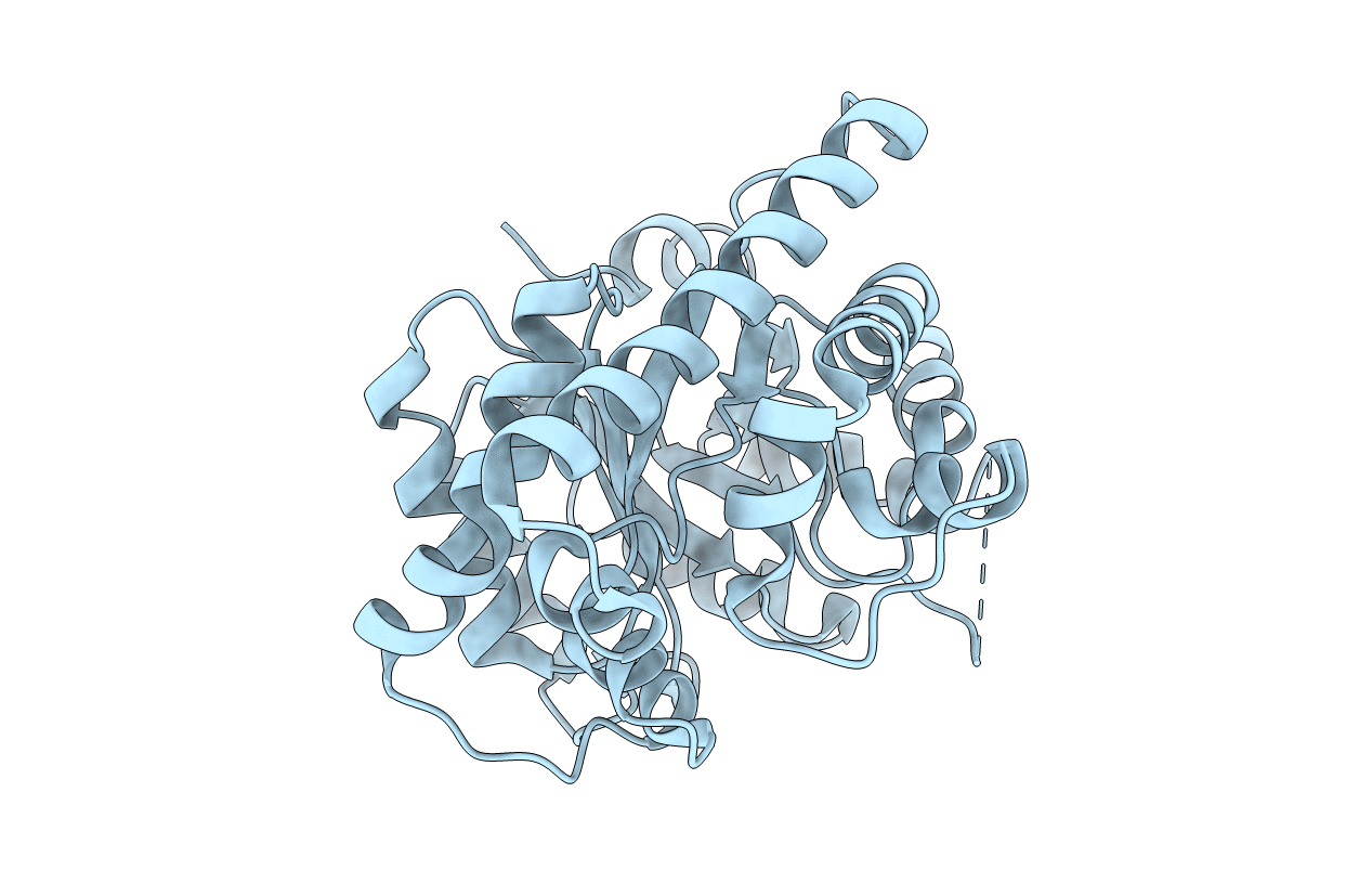 5DML image