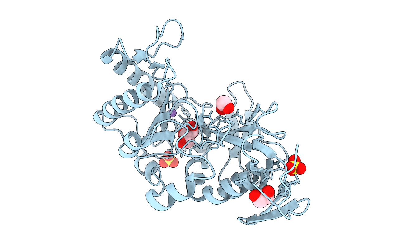 5DMU image