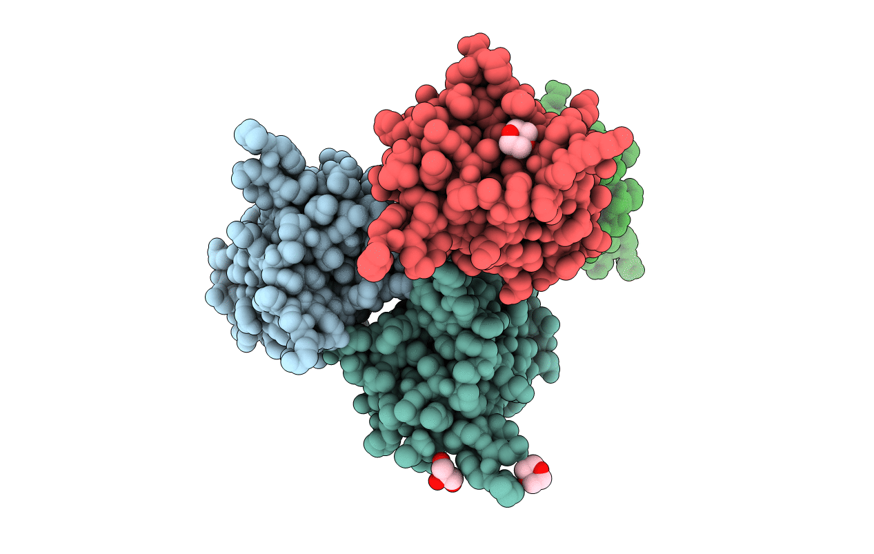 5DN2 image