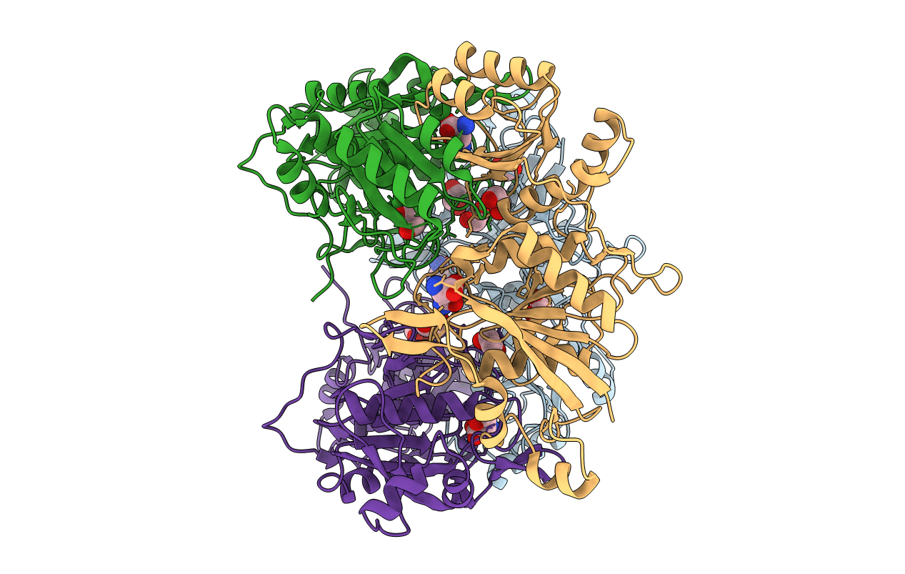 5DNE image