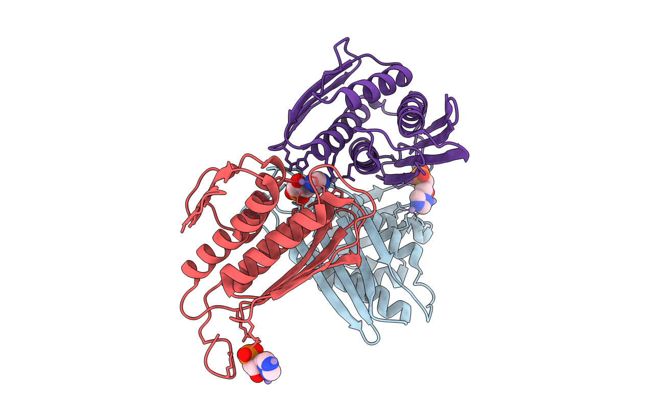 5DNL image