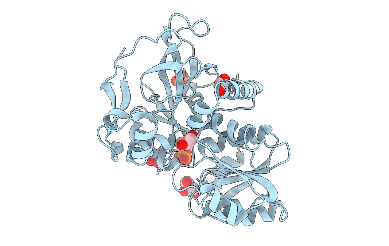 5DP1 image