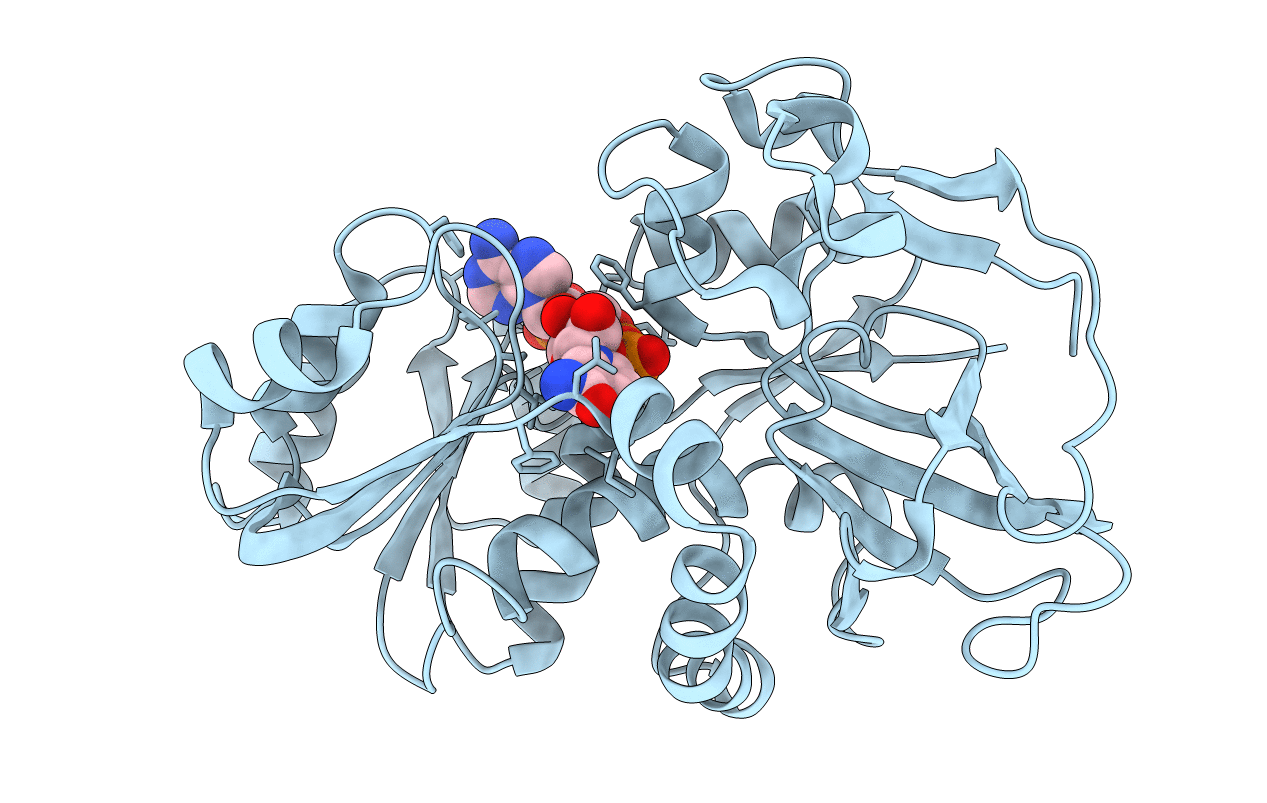 5DP2 image