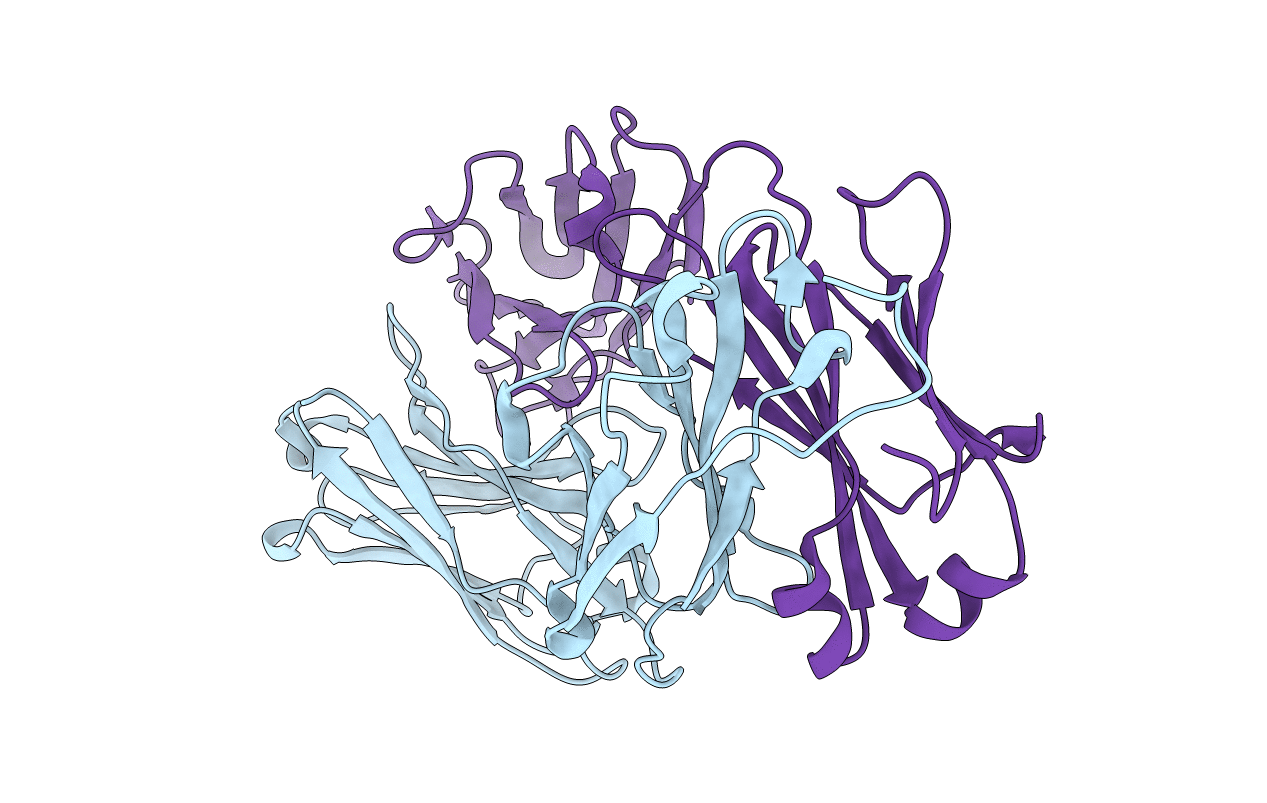5DR5 image