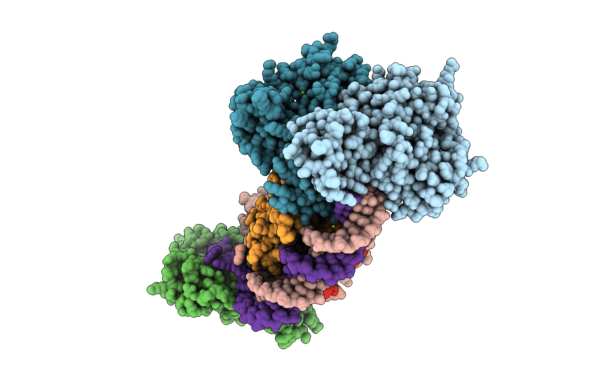 5DS5 image