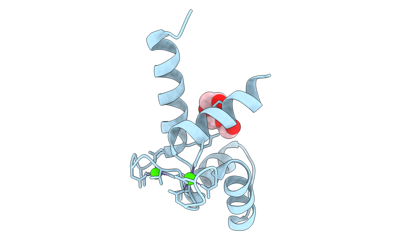 5DSU image