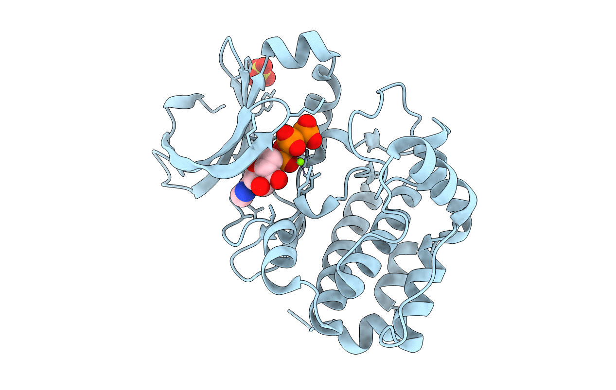 5DT3 image