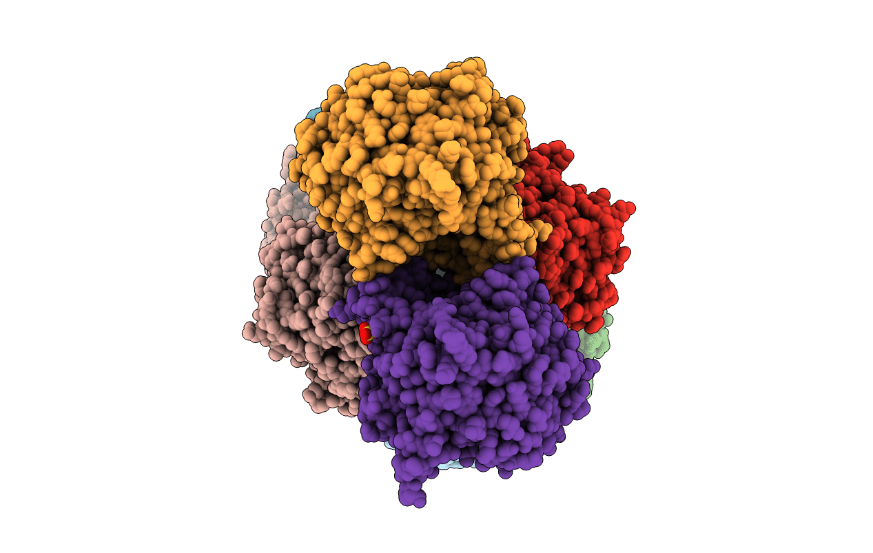 5DT5 image