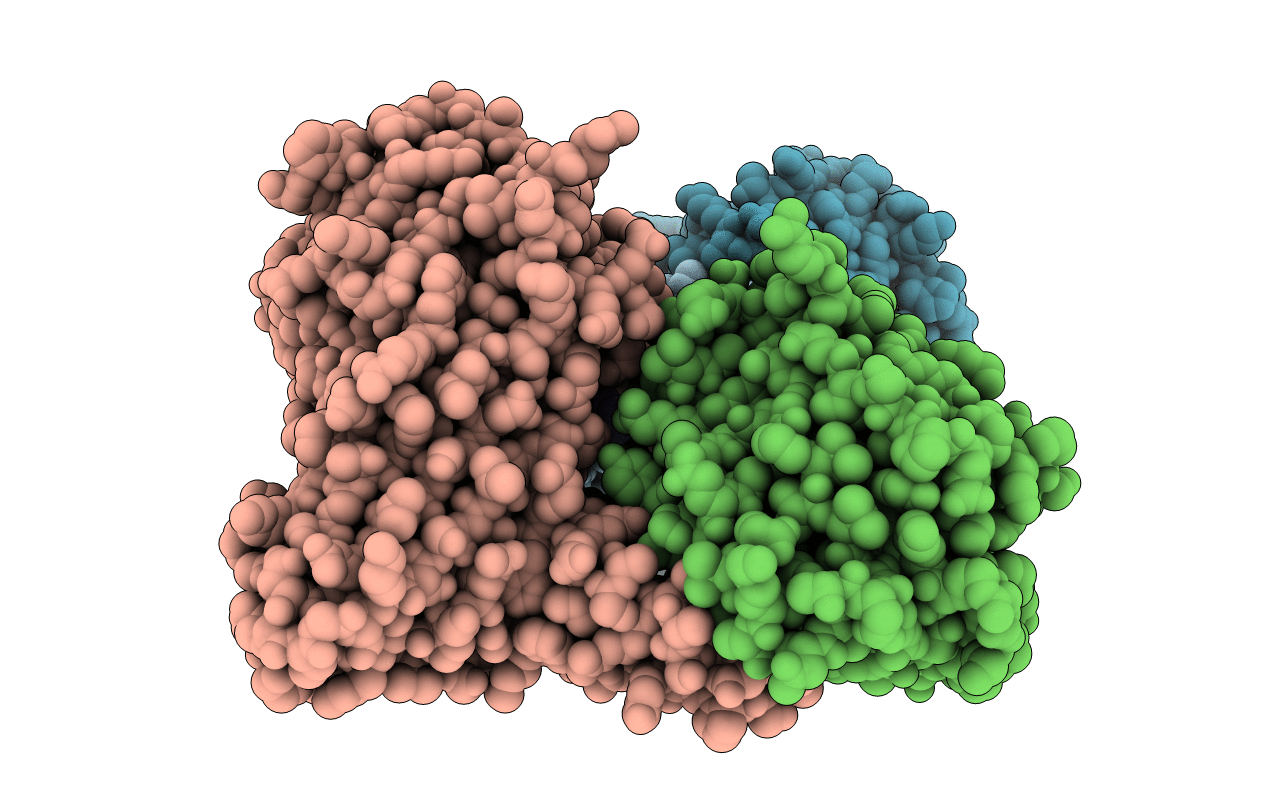 5DX1 image