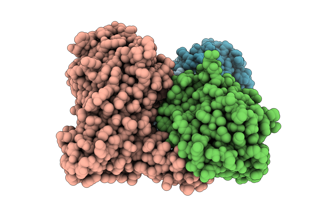 5DX8 image
