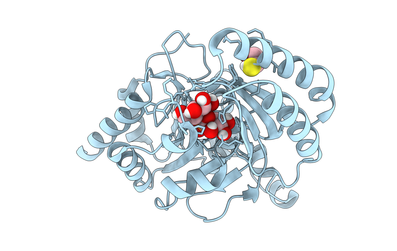 5DX9 image
