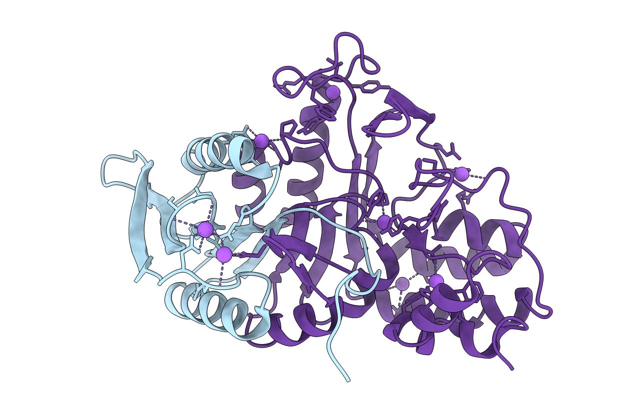 5DYN image