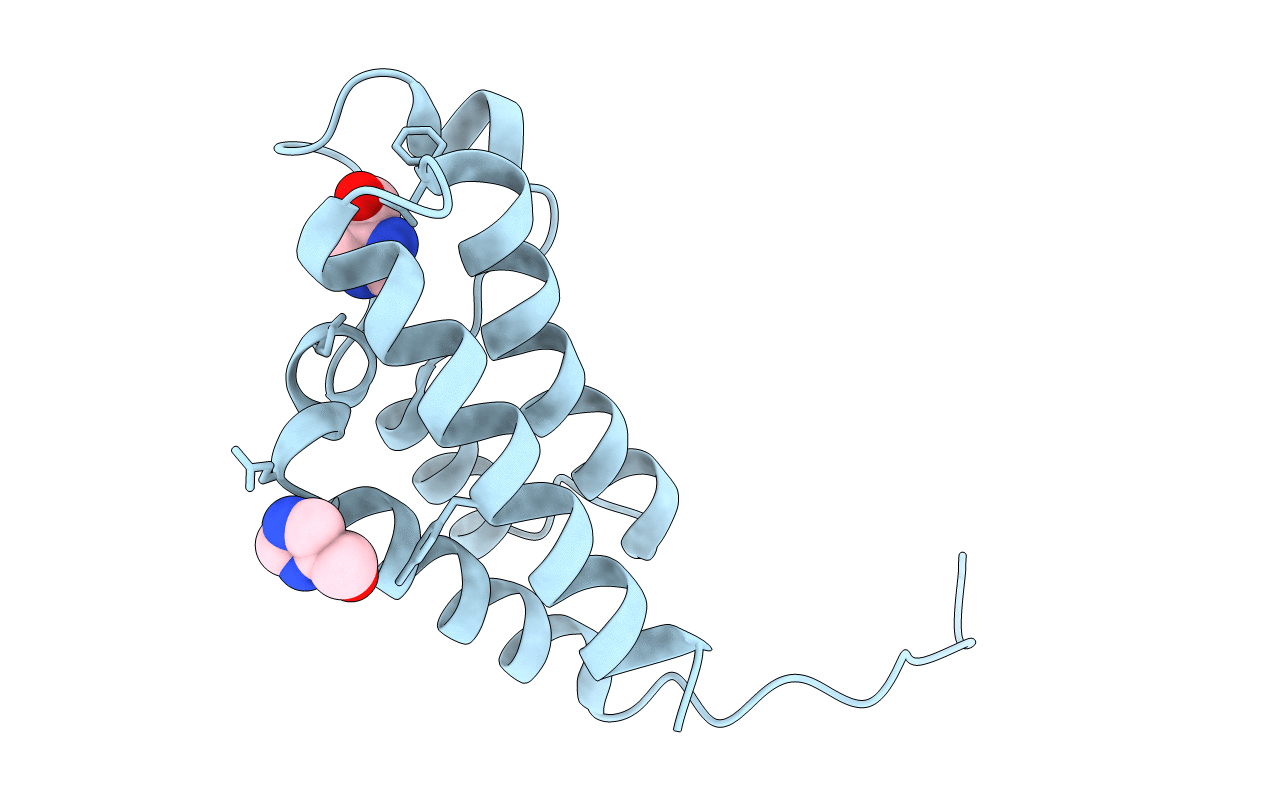 5DYU image