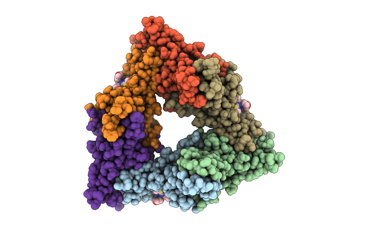 5E0I image