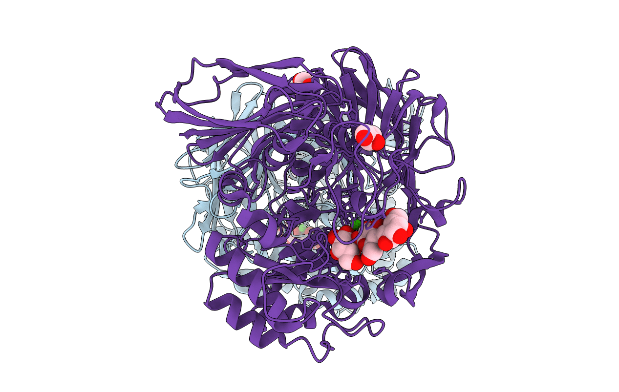 5E1Q image