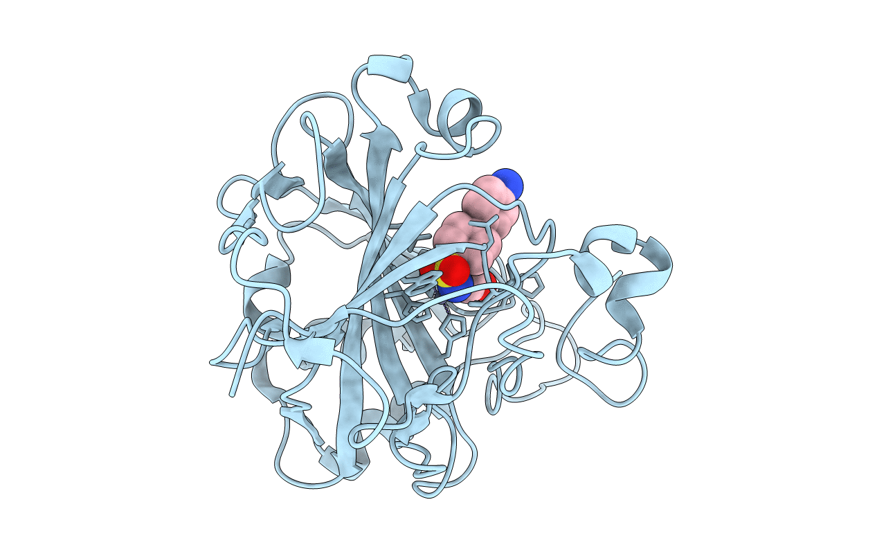 5E28 image