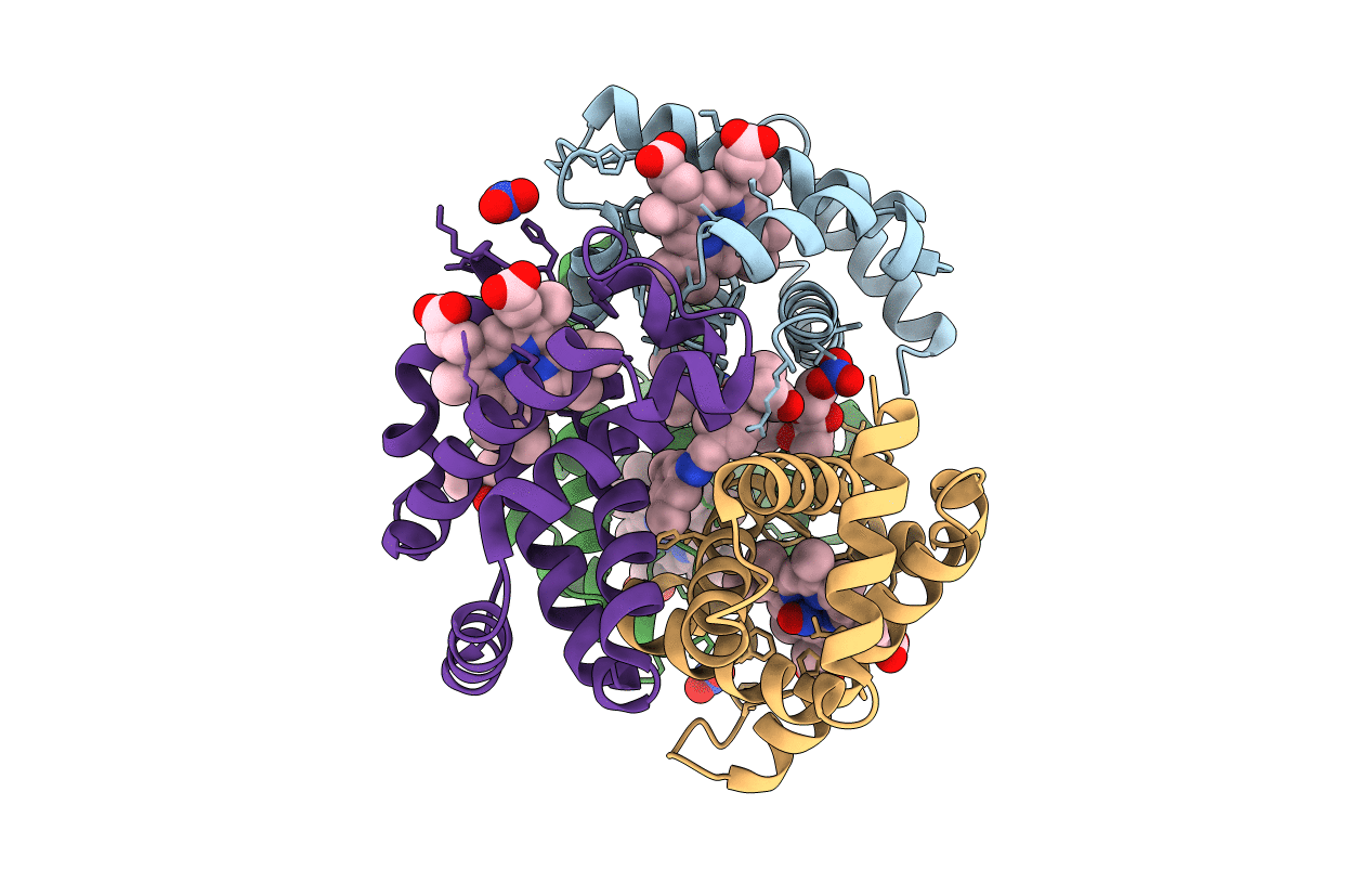 5E29 image