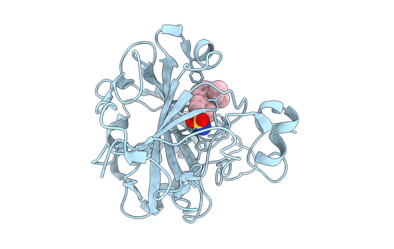 5E2S image