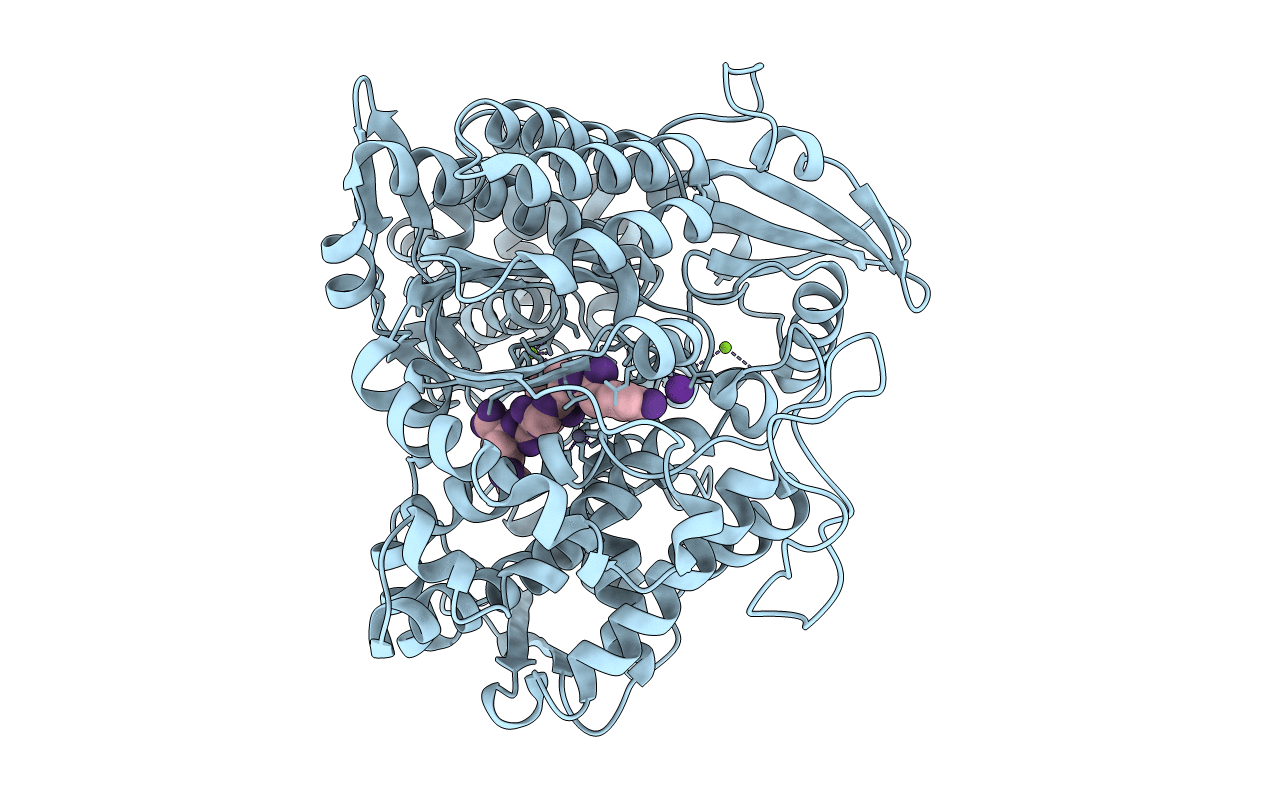 5E33 image