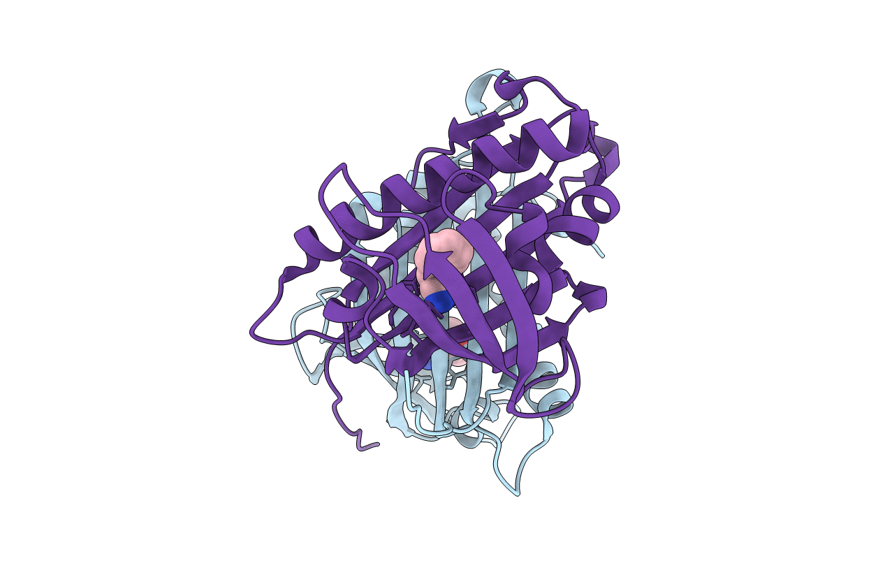 5E4B image