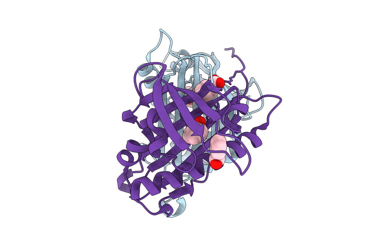 5E4D image