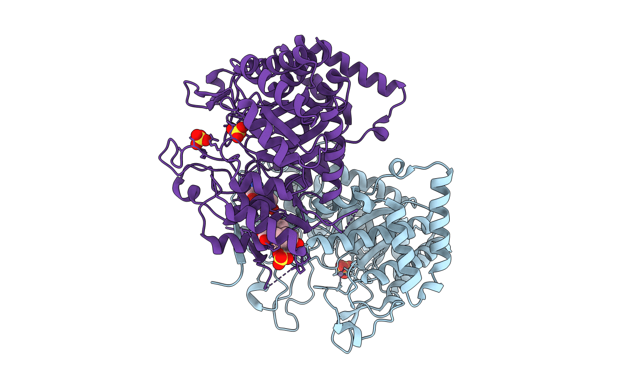 5E4N image