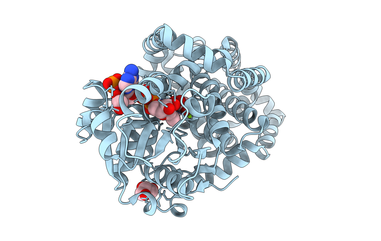 5E4R image