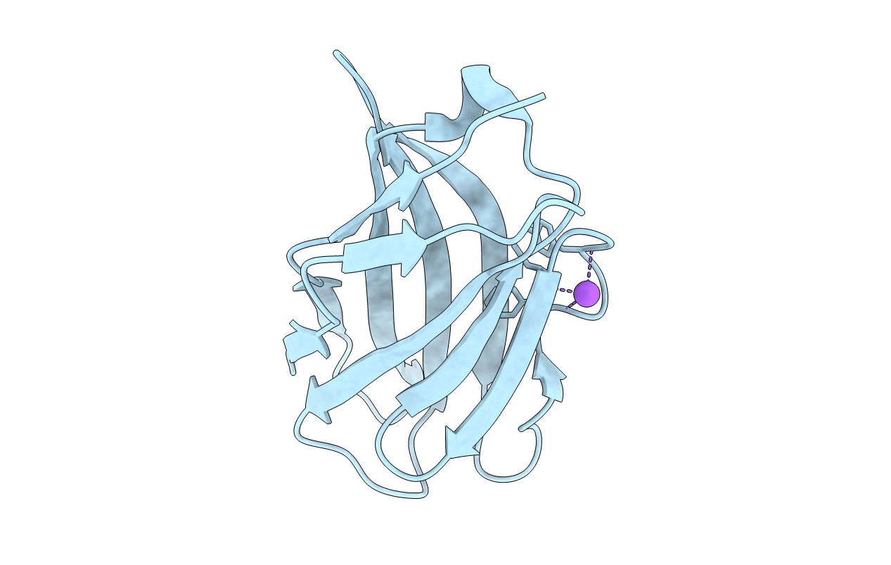 5E56 image