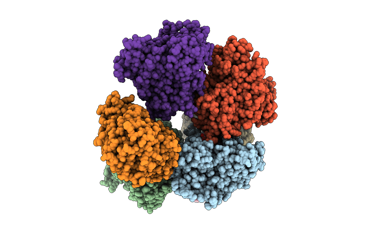 5E58 image