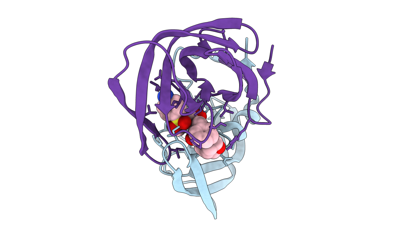 5E5J image