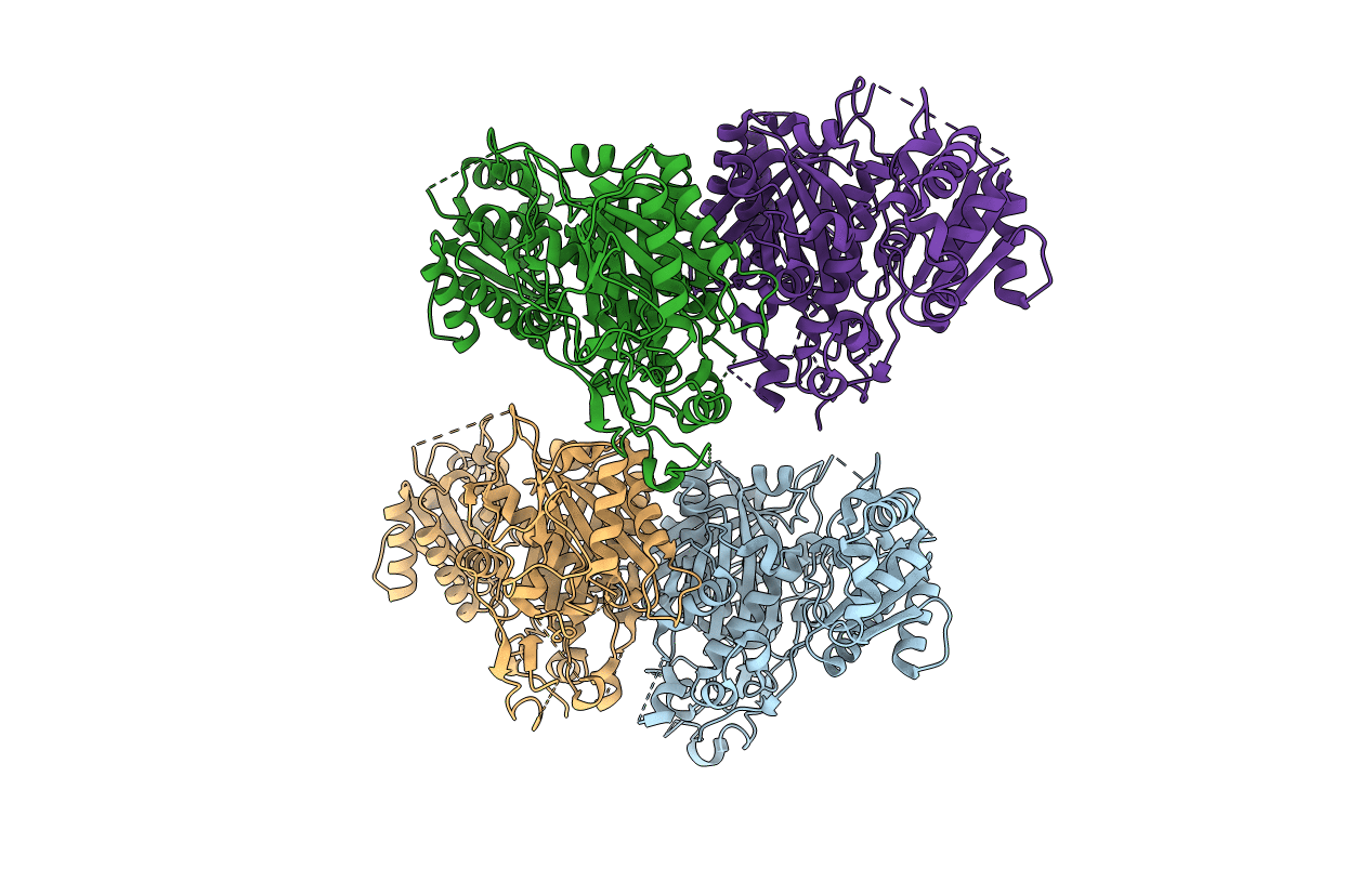 5E5N image