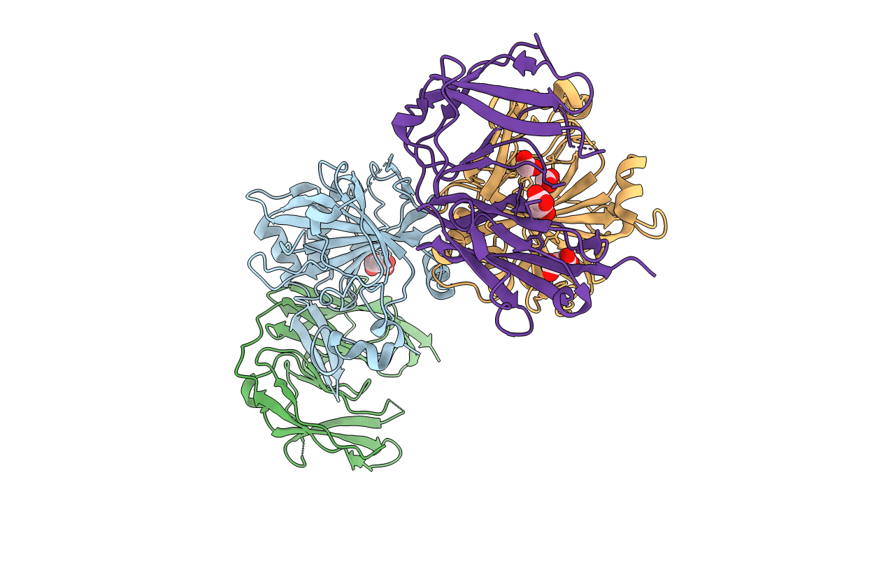 5E5R image