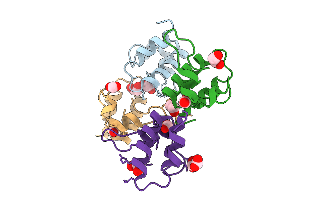 5E5Y image