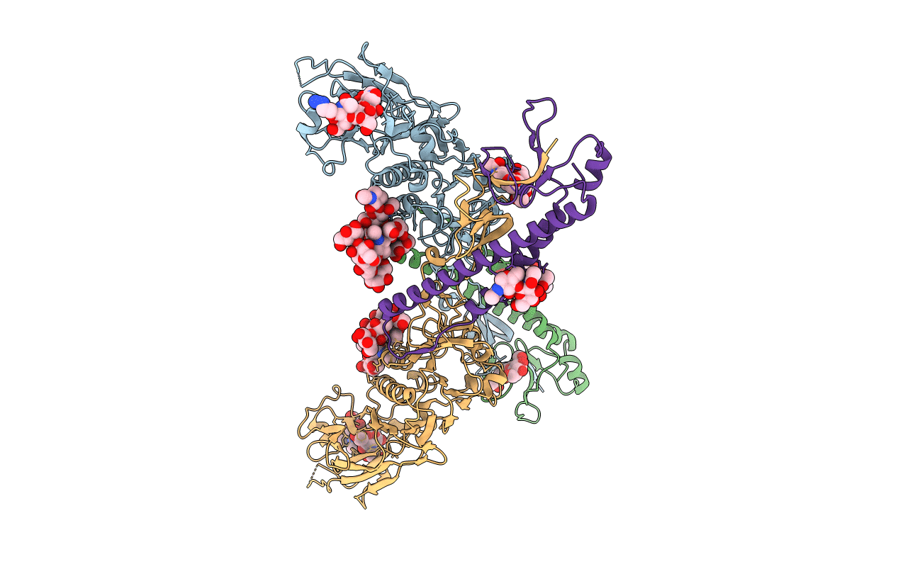 5E62 image