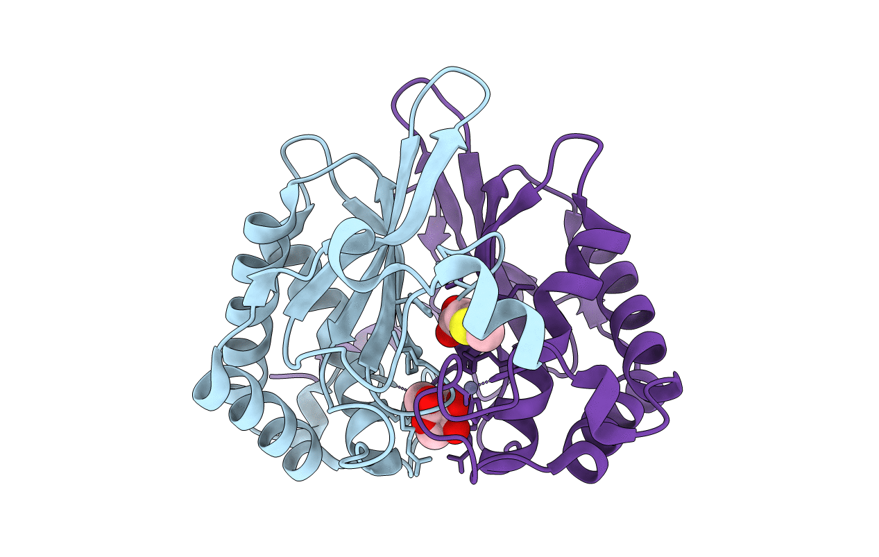 5E68 image