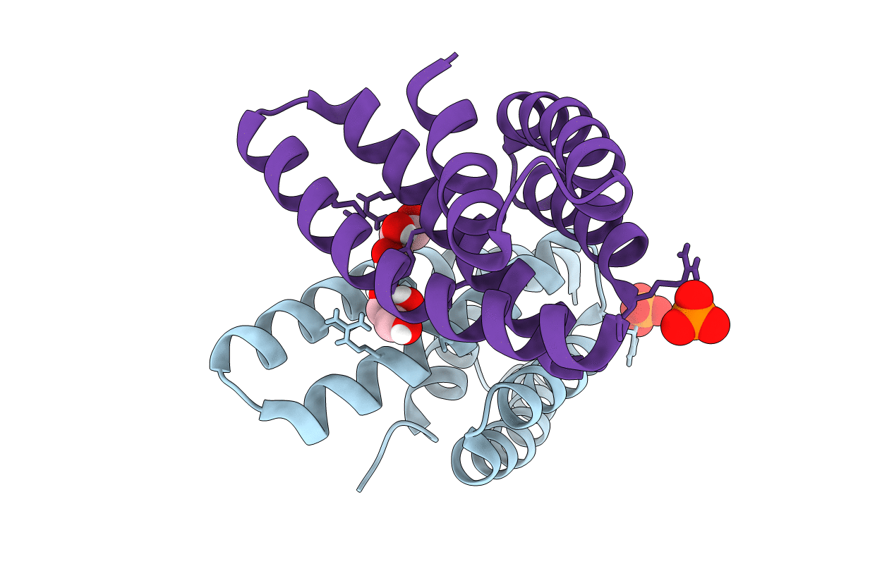 5E6G image
