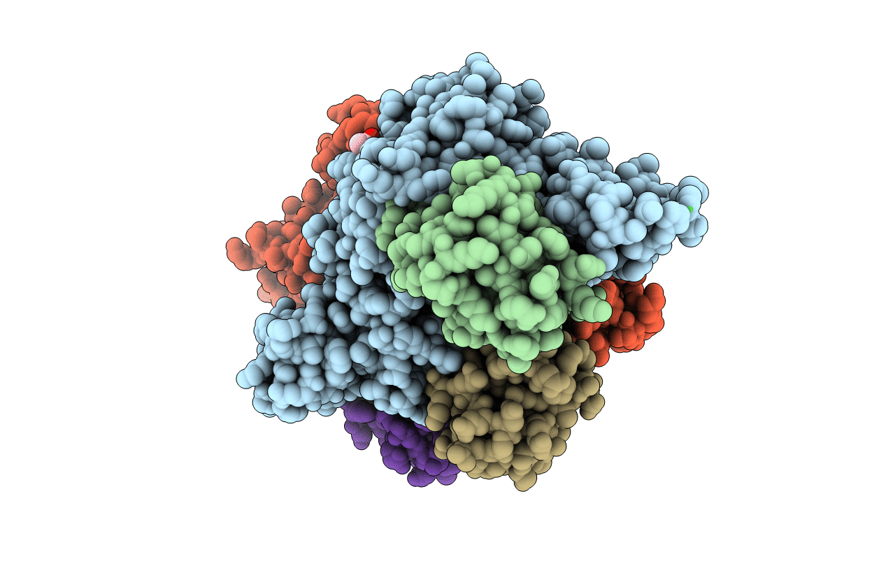 5E6J image