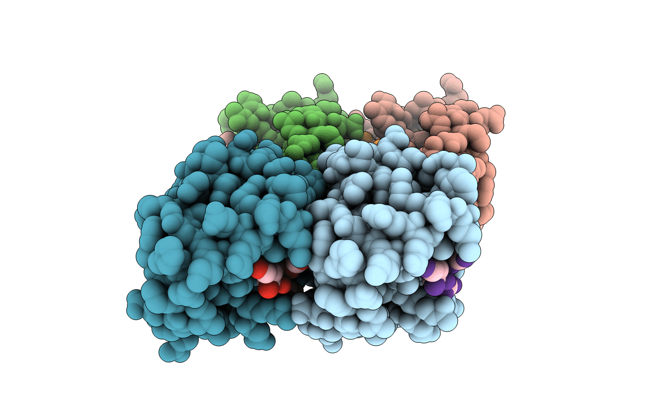 5E6O image