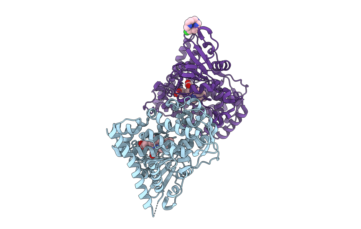 5E78 image