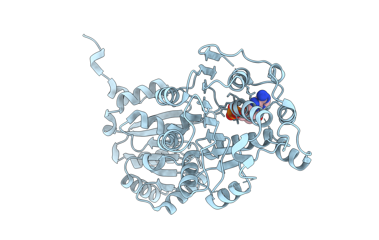 5E7J image