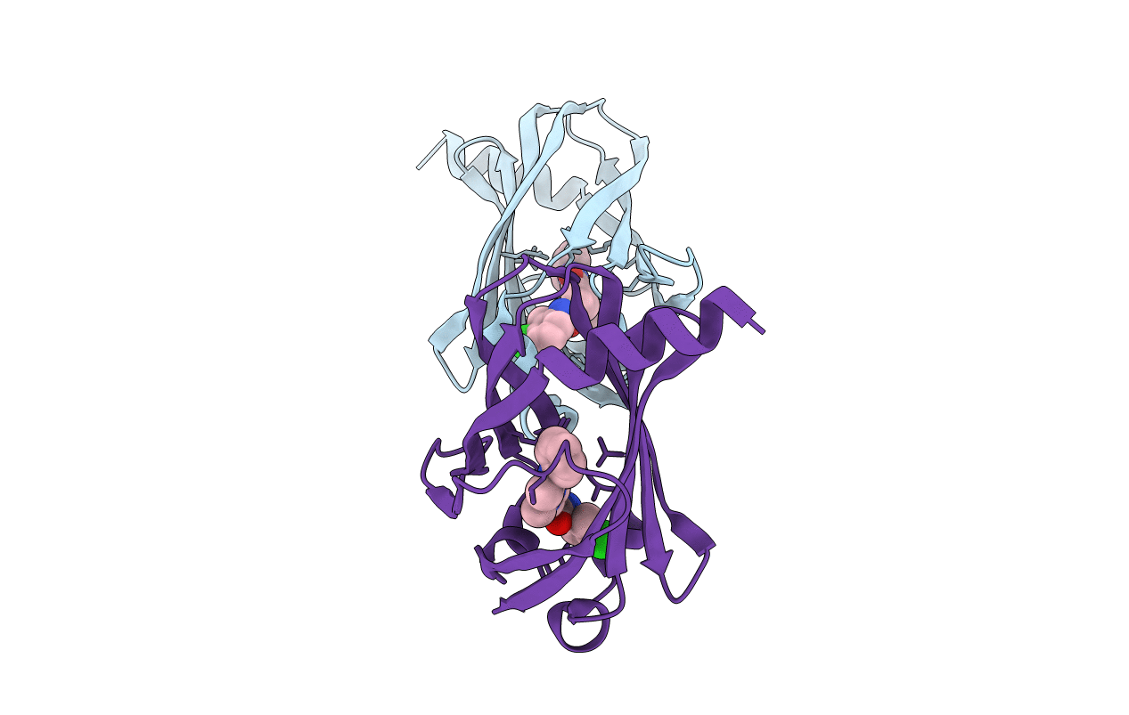 5E80 image