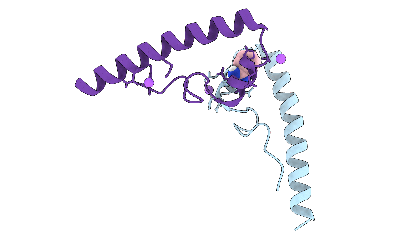 5E8B image