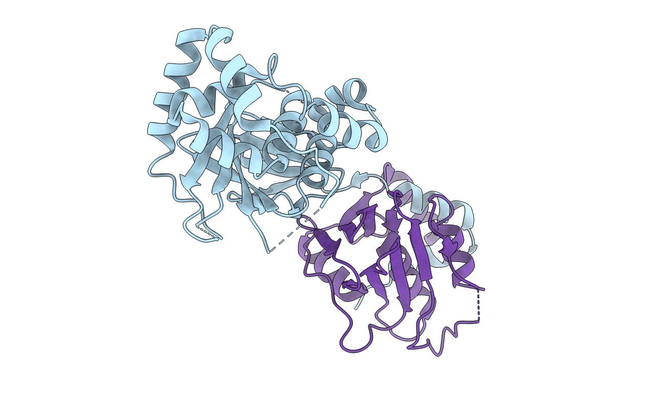 5E8C image