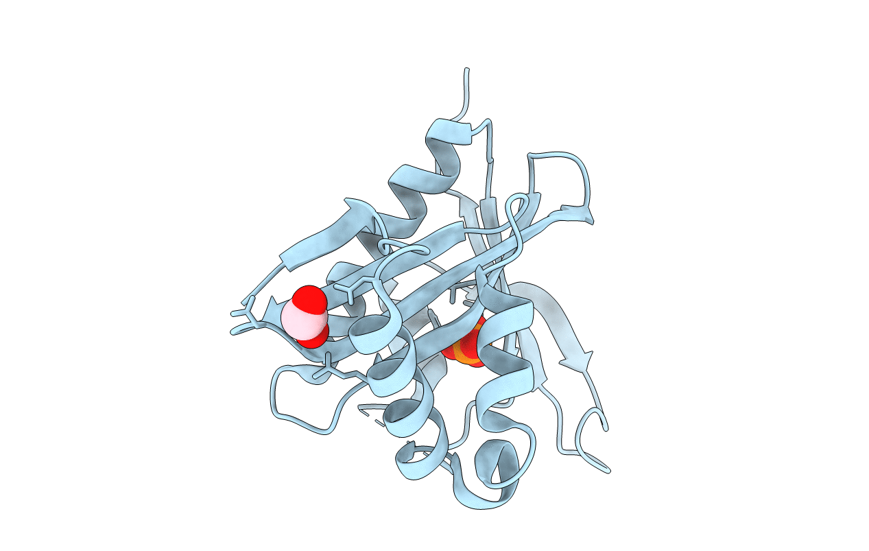 5E96 image