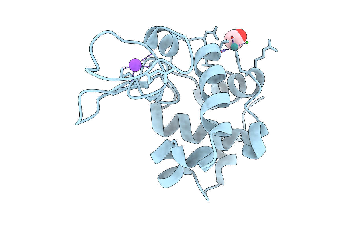 5E9R image