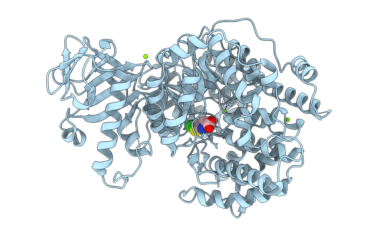 5E9X image
