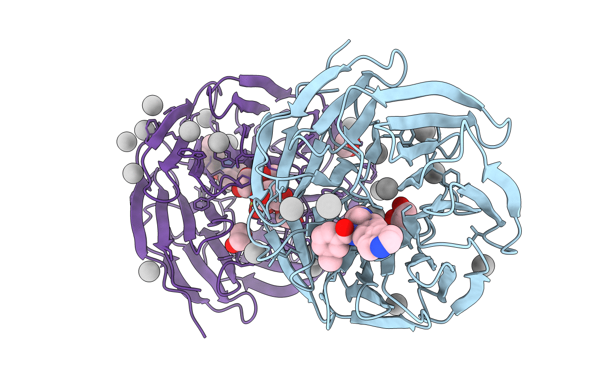5EAM image