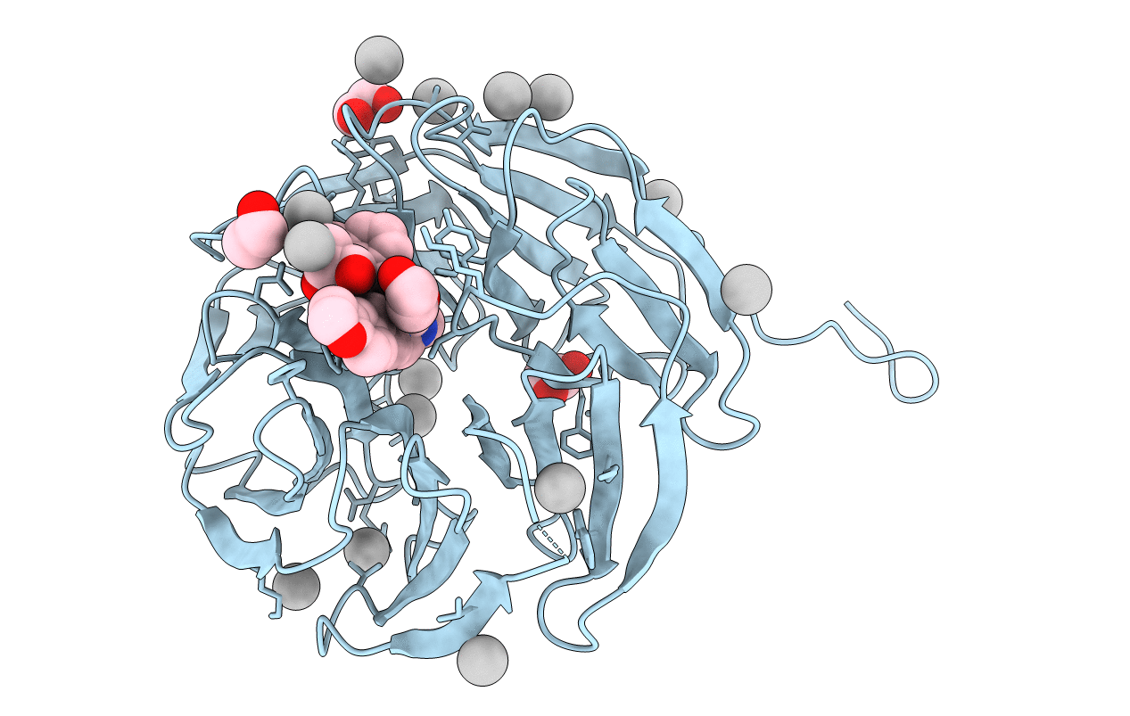 5EAP image